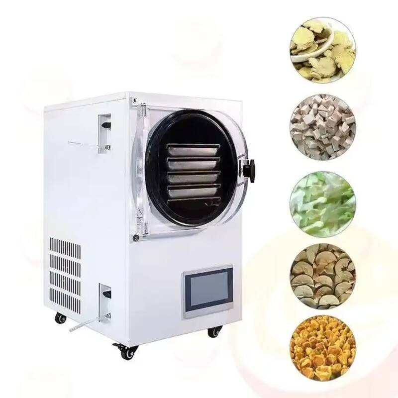 Máquina de liofilización, pequ - Vacuum Chamber Small reseña y precio